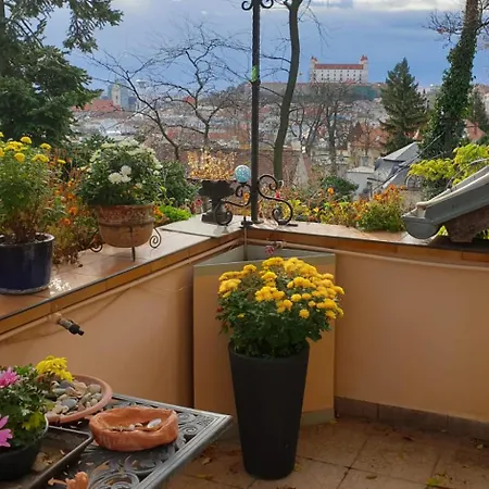Magical 5 Room, Place * Bratislava
